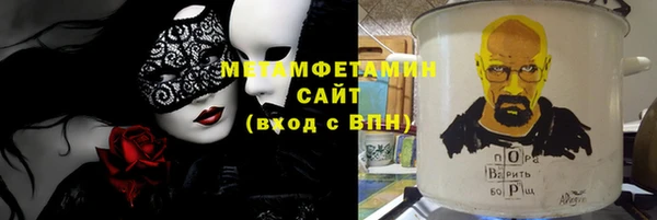 прущие грибы Аркадак