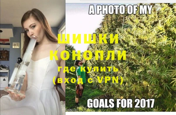 прущие грибы Аркадак