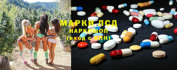 прущие грибы Аркадак