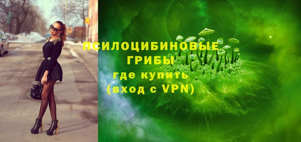 прущие грибы Аркадак